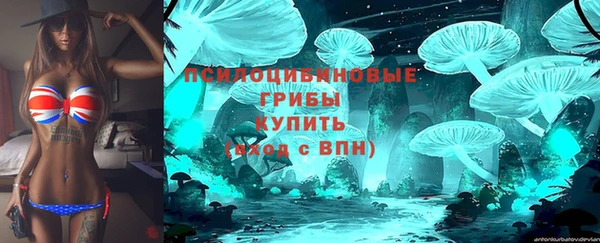 круглые Бородино