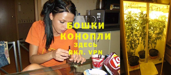 крисы Бугульма