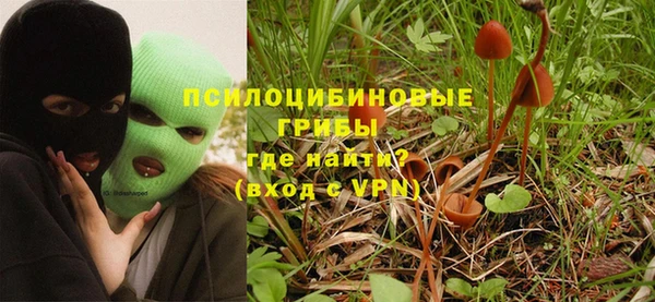 молекула духа Бронницы